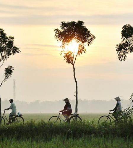 Solusi Jaringan Terbaik dengan Jasa Mikrotik di Indonesia