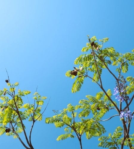 Solusi Jaringan Cepat dengan Jasa Setting Mikrotik